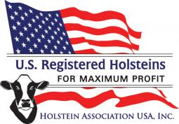UW holstein